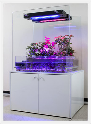 LED Plant Growth Controller -ifarm(Garden)